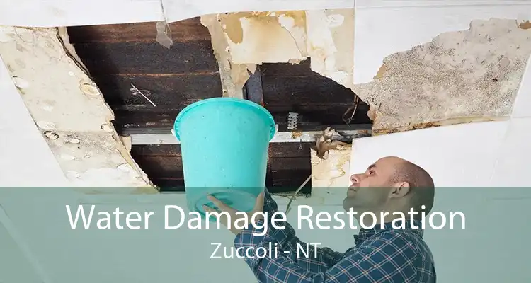 Water Damage Restoration Zuccoli - NT