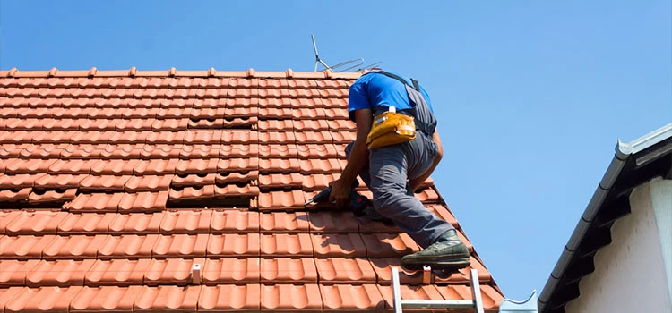 Hail Storm Damage Repair Waterloo